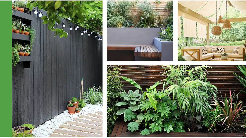 collage of outdoor spaces with painted walls and jungle style plants.