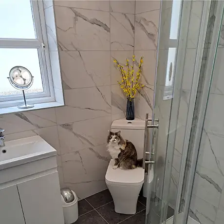 Bathroom and showerwall tiled in Calacatta White Matt