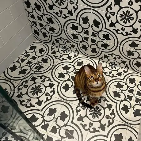 Black and White Ornate Patterned Floor Tile