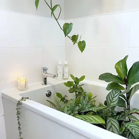 Minimal White Matt Bathroom Tiles