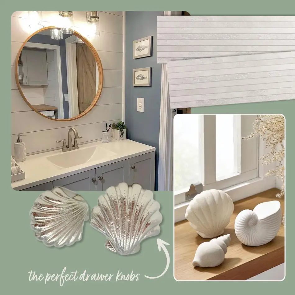 A selection of images featuring sea shells
