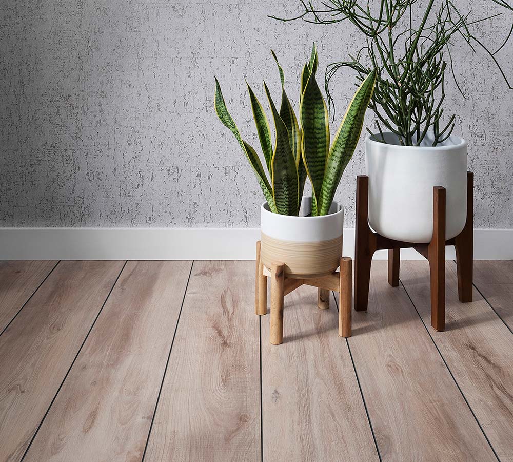 Plants and wood tiles in bathroom