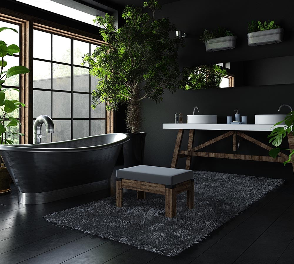 Showers Direct bathroom plants infographic