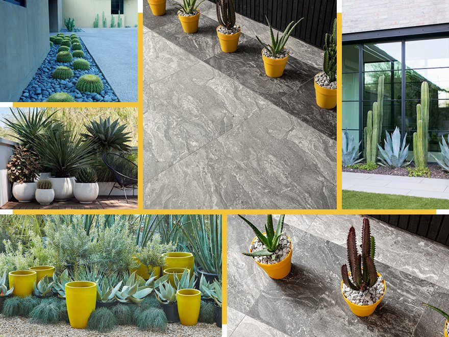 Urban Contemporary Garden