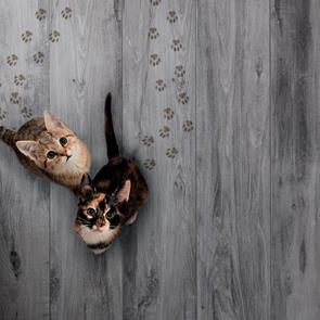 Tiled hallway using Aspenwood Dark Wood effect, Dark Gris tile