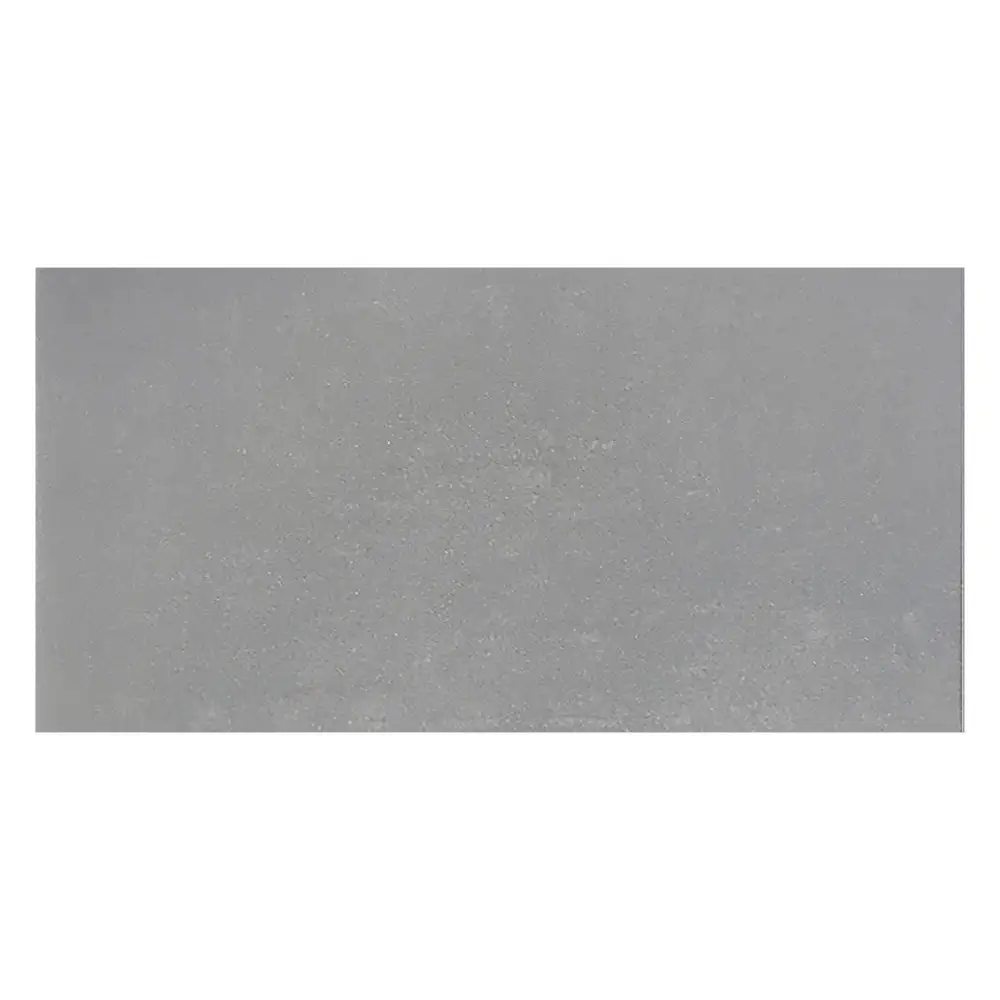 Traffic Light Grey Polished Tile - 600x300mm
