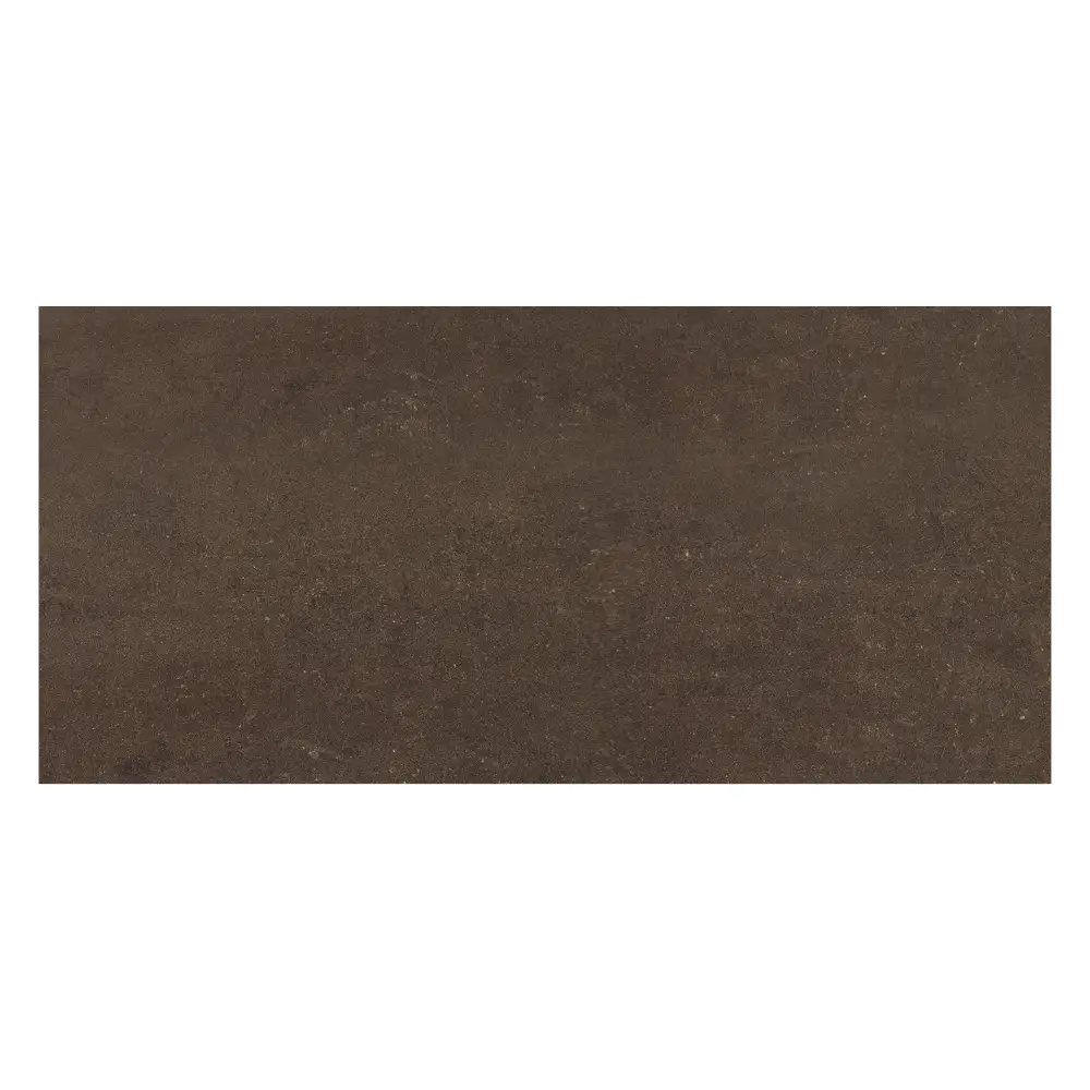 Traffic Mocha Polished Tile - 600x300mm